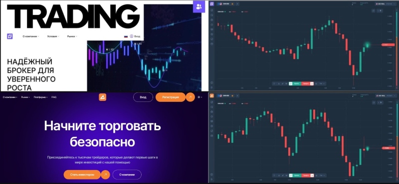 Брокер Topinmena работает незаконно: полный обзор и реальные отзывы