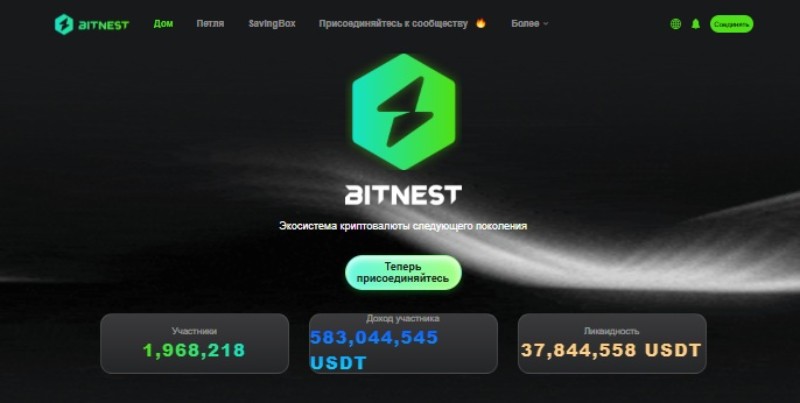 BitNest