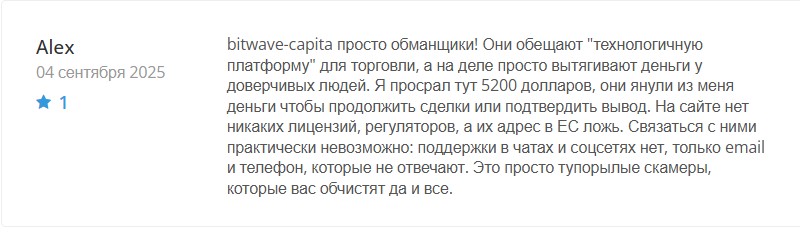 Мошенники Bitwave Capital рисуют  профит на странице и сливают депозиты