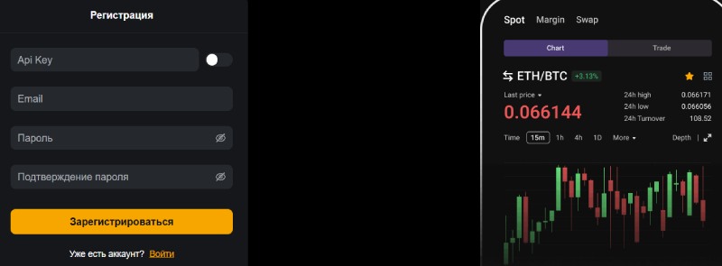 Connect Api Pro