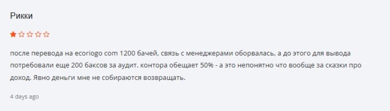 Ecoriogo — клонированные мошенники, сотрудничество с которыми принесет одни убытки