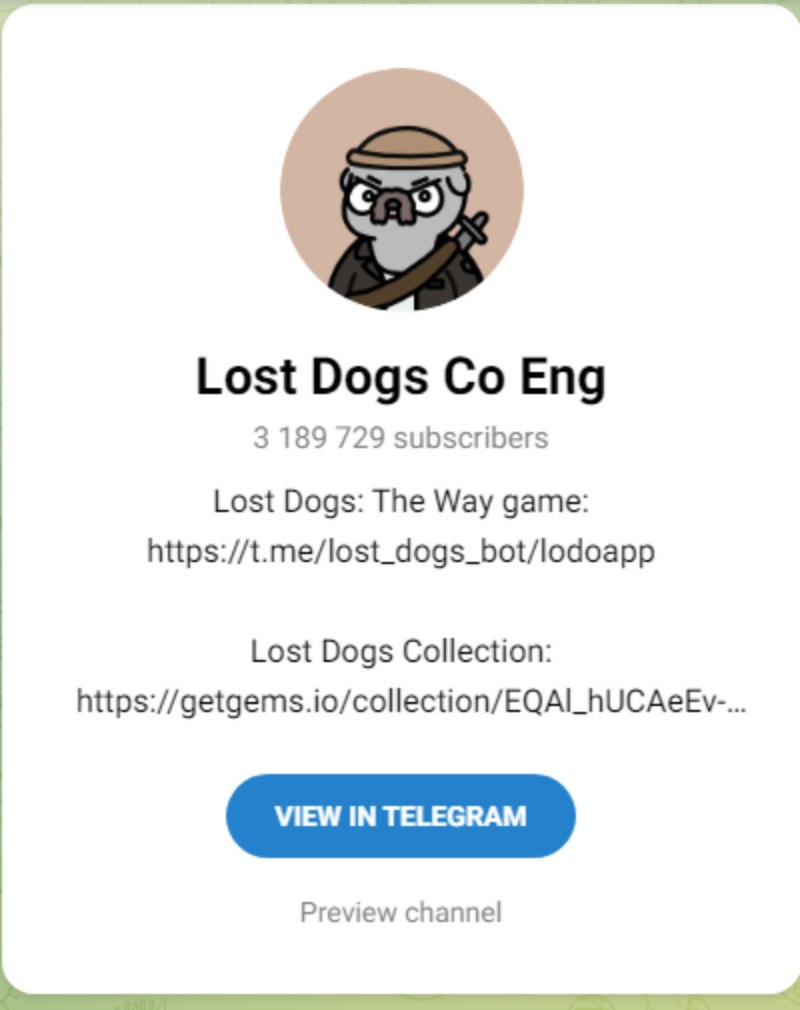 Lost Dogs: The Way