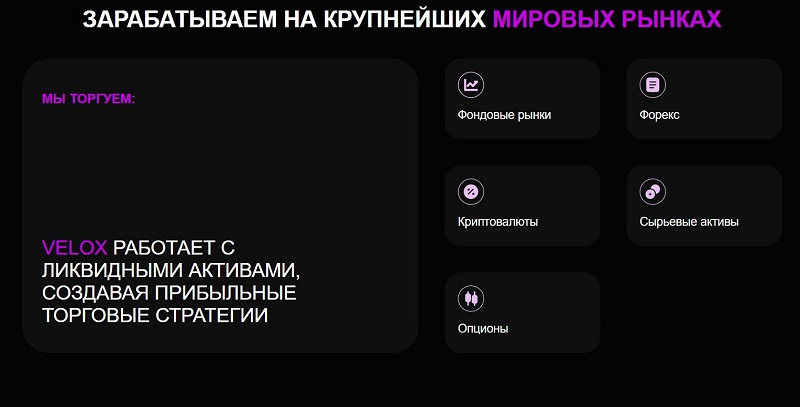 Какой обман скрывает брокер Veelox за яркой самопрезентацией и обещаниями Какой обман скрывает брокер Veelox за яркой самопрезентацией и обещаниями