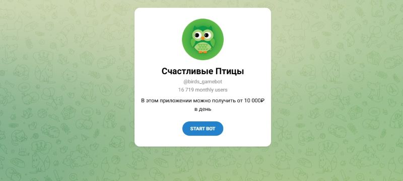 «Счастливые Птицы»