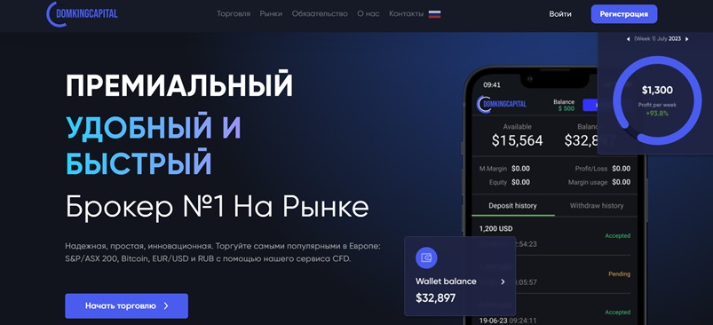 Domking Capital LTD