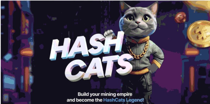 HashCats