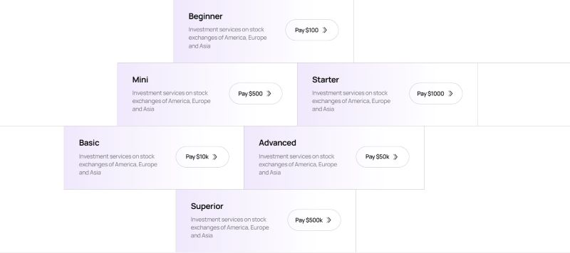 Market Securities (Dubai) Limited LTD