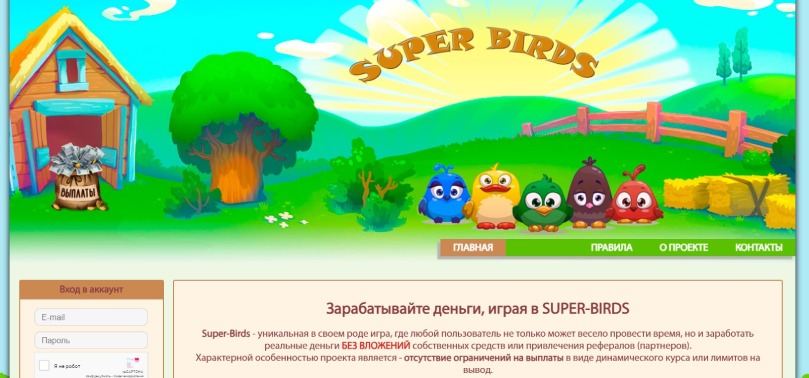 Super Birds