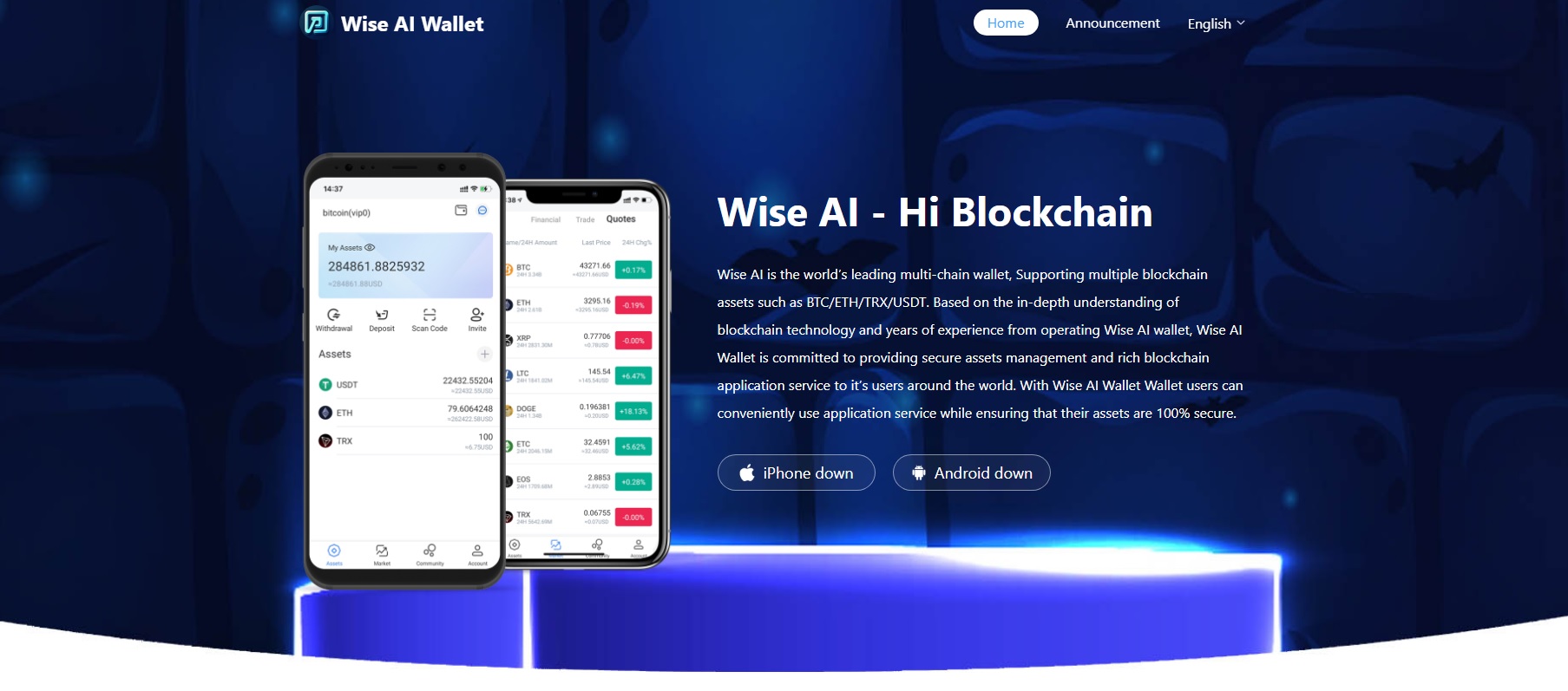 Анкета компании: Wise AI Wallet