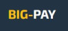 Big Pay Logo