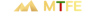 Metaverse Foreign Exchange Group (MTFE) Logo