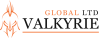 Valkyrie Global LTD Logo