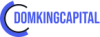 Domking Capital LTD Logo