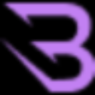 Компания Blitz Finance logo
