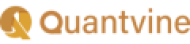 Компания Quantvinees logo