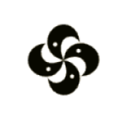 Celestra Group logo