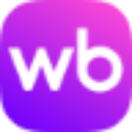 Компания Wbbi logo