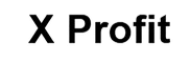 Компания X Profit logo