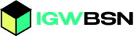 IGW bsn logo