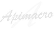 Компания Apimacro logo