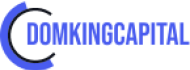 Компания Domking Capital LTD logo