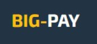 Big Pay logo