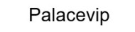 Компания Palacevip logo