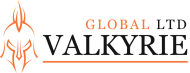 Valkyrie Global LTD logo