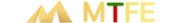 Metaverse Foreign Exchange Group (MTFE) logo