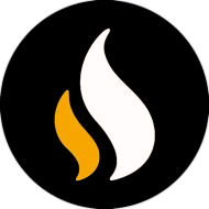 Компания  Coinesa logo