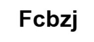 Компания Fcbzj logo