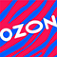 Компания Dsozondd logo