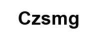 Компания Czsmg logo