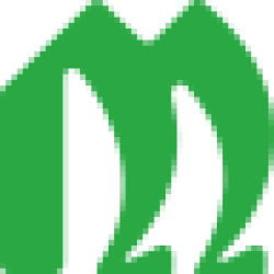 Mogo On logo