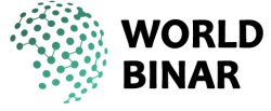 WorldBinar logo