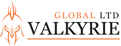 Valkyrie Global LTD logo