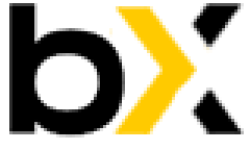 Bincryptex logo