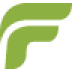 FFIN Corp logo