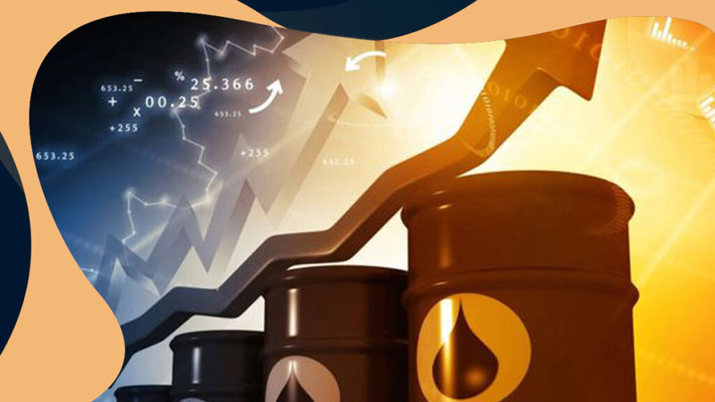 Сотрудничество с Oil Profit: риски для инвестора